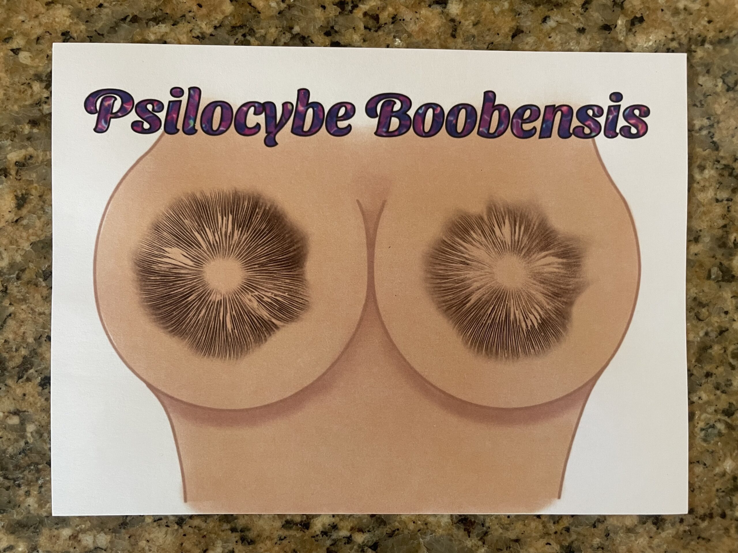 Psilocybe Boobensis Frame