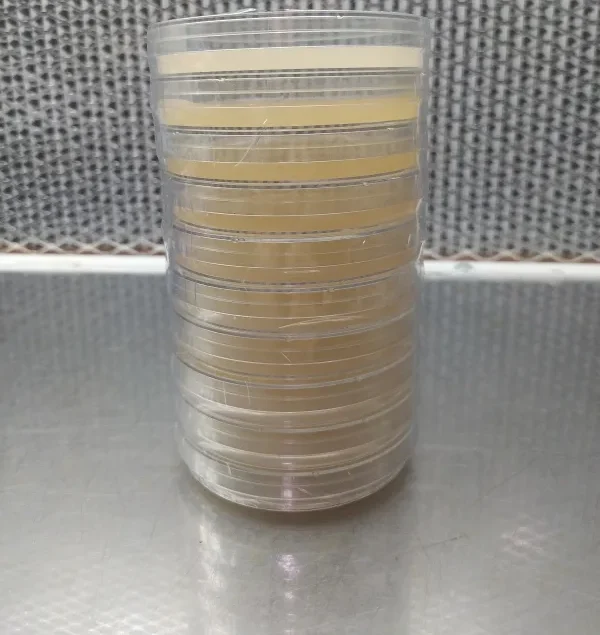 AGAR PLATES