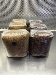6-Pack 2lb Grain Bags