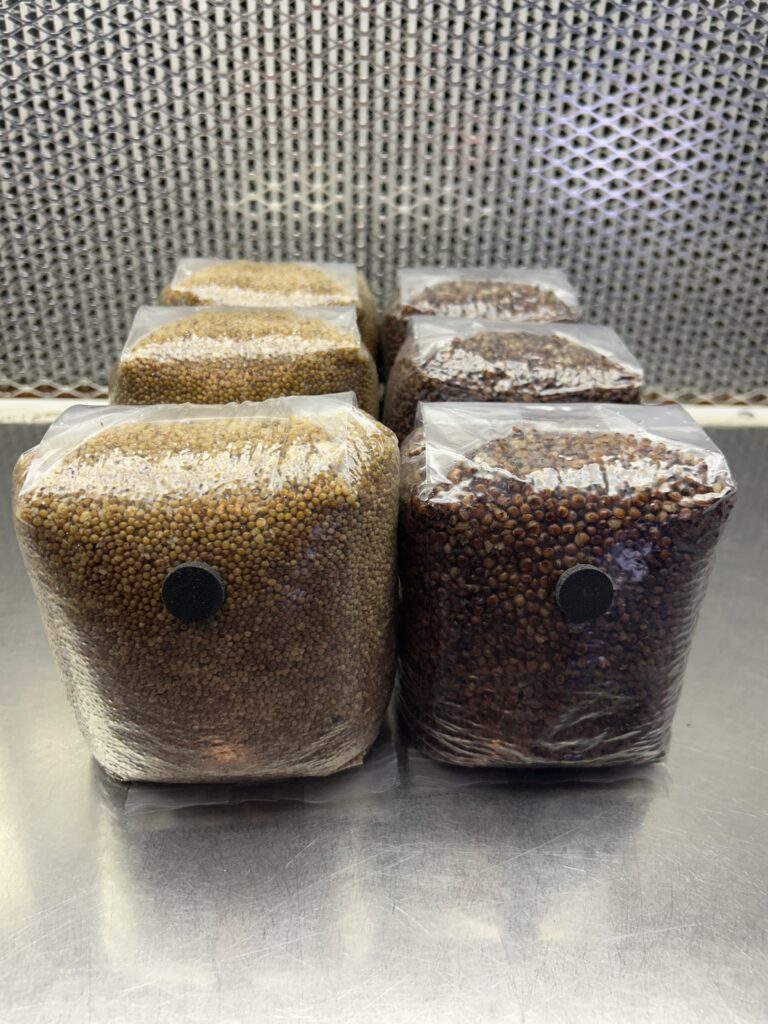 6-Pack 2lb Grain Bags
