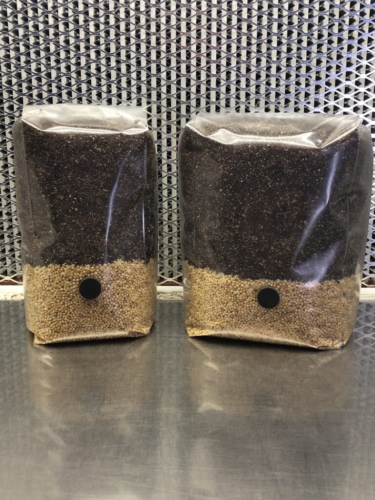 All In One Grow Bag (Millet)
