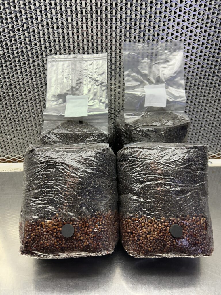 4-Pack All In One Grow Bags (Milo)
