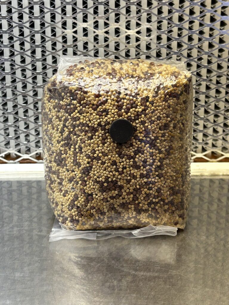 Sterilized Grains (Milo/Millet Mix)
