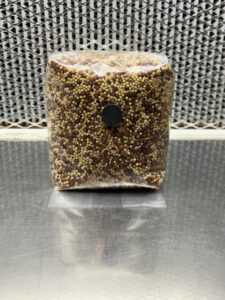 Sterilized Grains (Milo/Millet Mix)