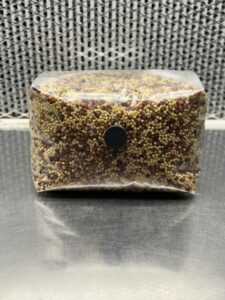 Sterilized Grains (Milo/Millet Mix)
