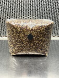 Sterilized Grains (Milo/Millet Mix)