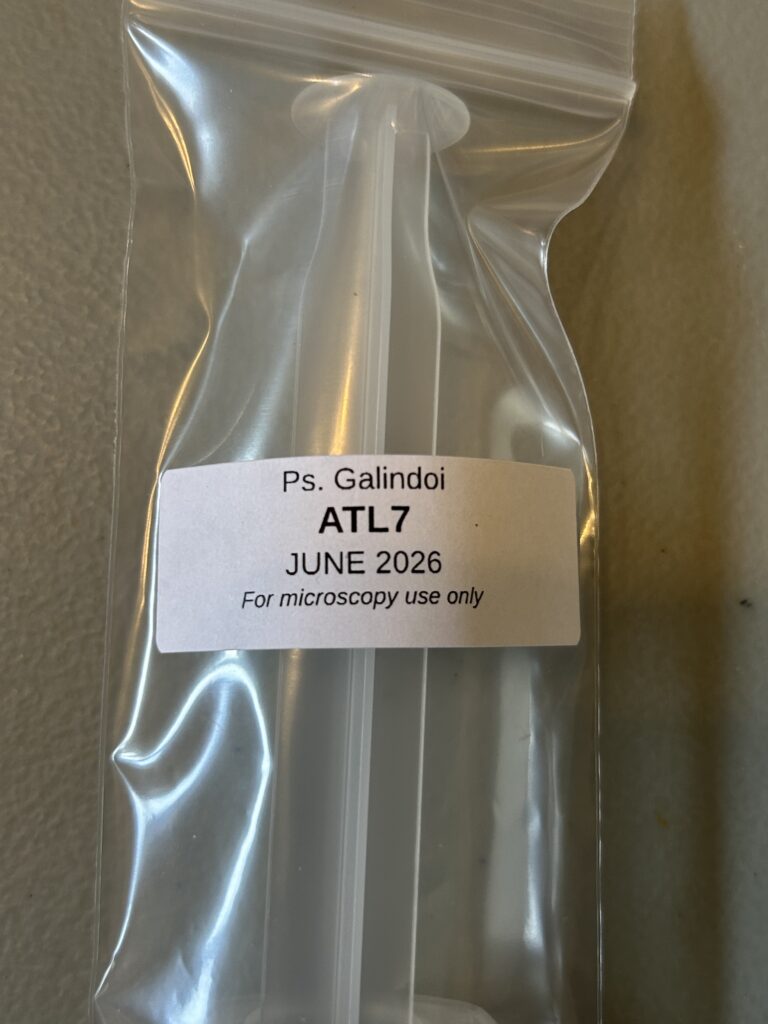 Psilocybe Galindoi ATL7 12mL Syringe
