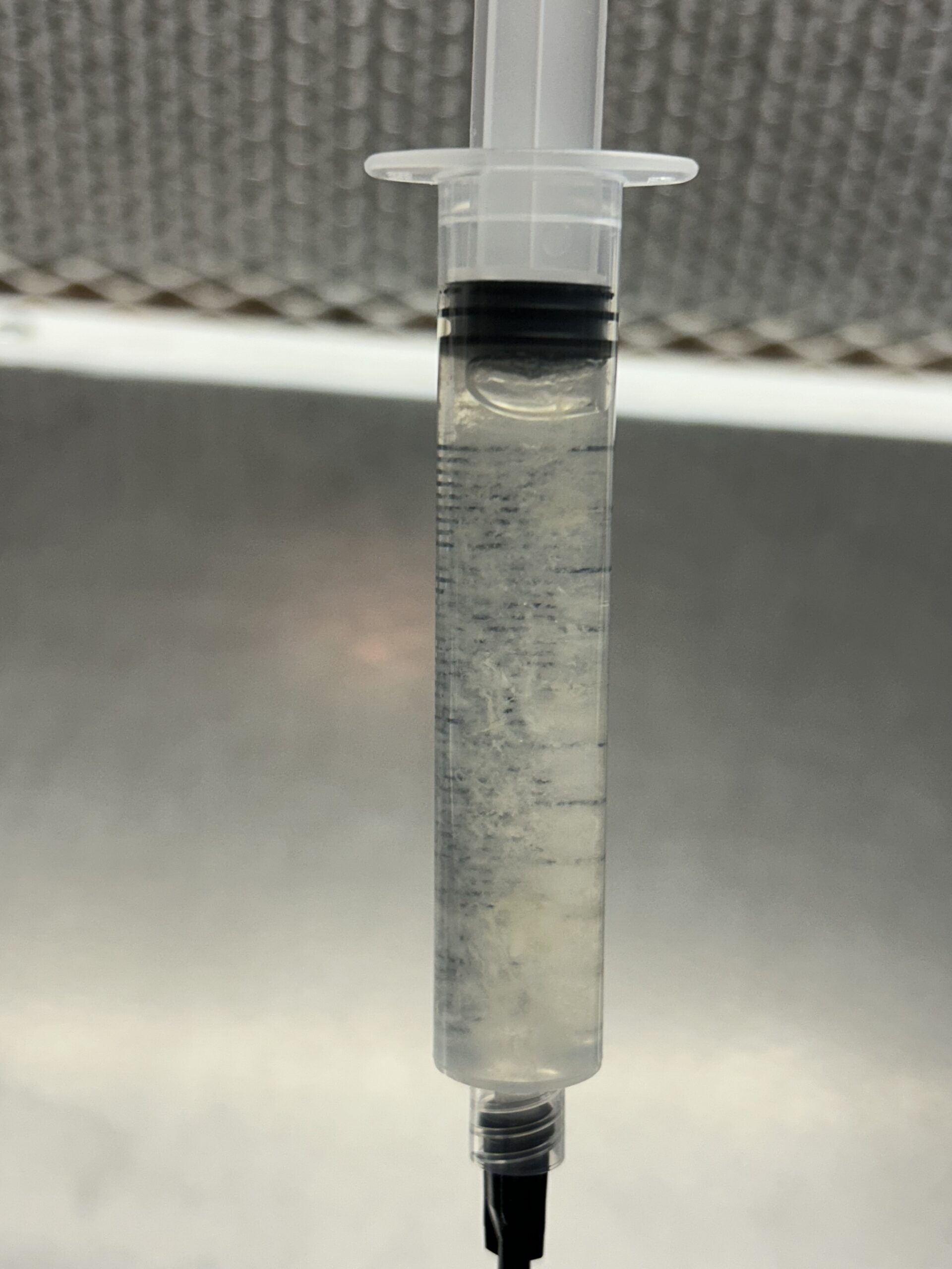 12mL ISOLATED SPORE SYRINGES
